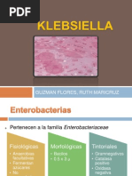 KLEBSIELLA