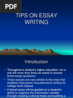 Essay Writing 