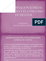 Determinación Judicial de La Pena y El Concurso