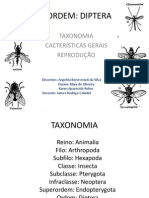 Diptera Pronto