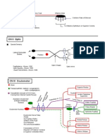 Cranial Nerve Pathways