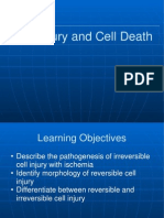 Cell Injury 2