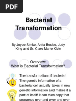 Bacterial Transformation