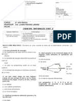 Prueba Coef.2 Ciencias Naturales 6° Año II Semestre