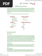 Different Types of Forests