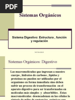 Sistemas Organicos Digestivo 4