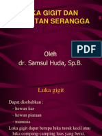 Luka Gigit Dan Sengatan Serangga