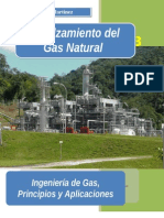 Endulzamiento Del Gas-Natural