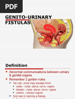 Genito-Urinary Fistula