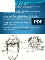 PDF Dokumen