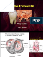 Endocarditis Blok 10