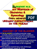 Urinary Incontinence