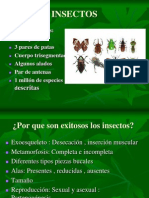 Presentcion Insectos2012