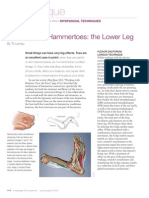 Working With Hammertoes: The Foot (PT II) (Myofascial Techniques)