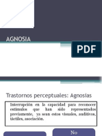 Agnosia