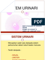 Sistem Urinari