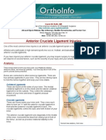 Anterior Cruciate Ligament Injuries-Orthoinfo - Aaos