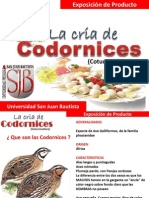 Presentaciondecodorniz 110618214052 Phpapp01