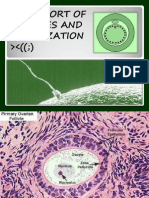 Transport of Gametes and Fertilization