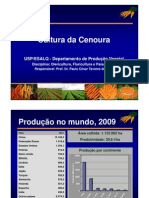 Aula - Cenoura - Hortica - 2012 - 1 PDF