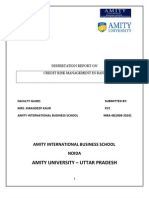 Credit Risk Management