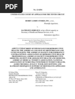 Amicus Curae Brief