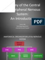 Anatomy of CNS and PNS