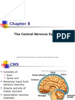 The Central Nervous System