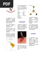 Triptico para Quitaracsa