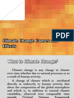 Climate Change Causes and Effects