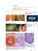 Pathology of Common Skin Diseases With Clinical Correlates