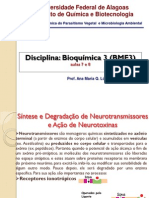 Síntese e Degradação de Neurotransmissores