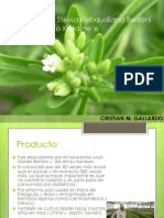 Presentación Proyecto Stevia PDF