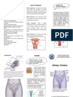 Miomas Uterinos Triptica