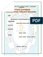 Navegadores y Metanavegadores