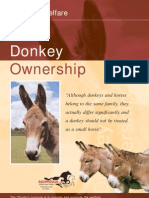 Donkeys