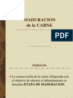 Maduracion de La Carne