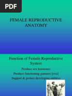 Female Reproductive Anatomy