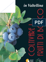 Libro Frutti PDF