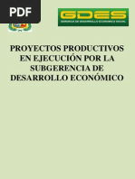 Proyectos Productivos - 1