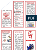 Seguridad en Las Manos PDF