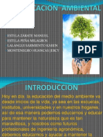 EDUCACION AMBIENTAL Diapositivas