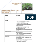 Ficha Tecnica Del Coliflor
