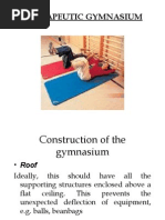 Therapeutic Gym