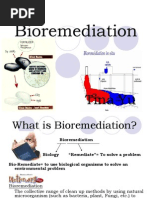 Bioremediation