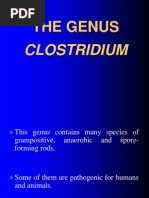 The GENUS Clostridium