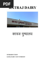 Katraj Dairy