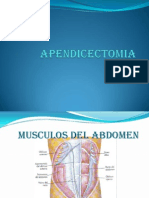 APENDICECTOMIA