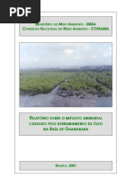 Relatório Sobre o Impacto Ambiental Causado Pelo Derramamento de Óleo Na Baía de Guanabara