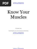 Know Your Muscles